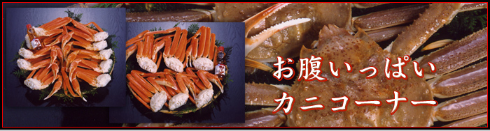 ���t�K�j�A�����I�A�X���C�K�j�Ȃǂ̃J�j�R�[�i�[