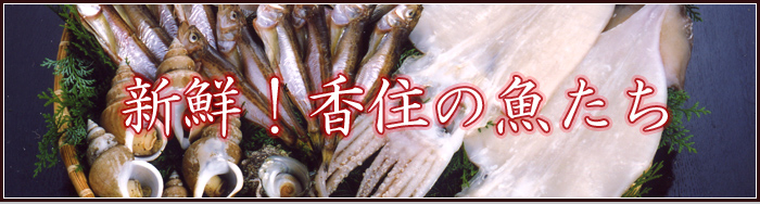 �V�N�I ���Z�̋�����