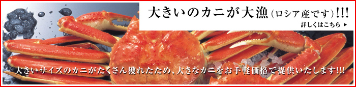 �傫���J�j���務�I�I�I